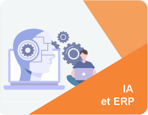 ERP implantation experts solutions technologiques identité