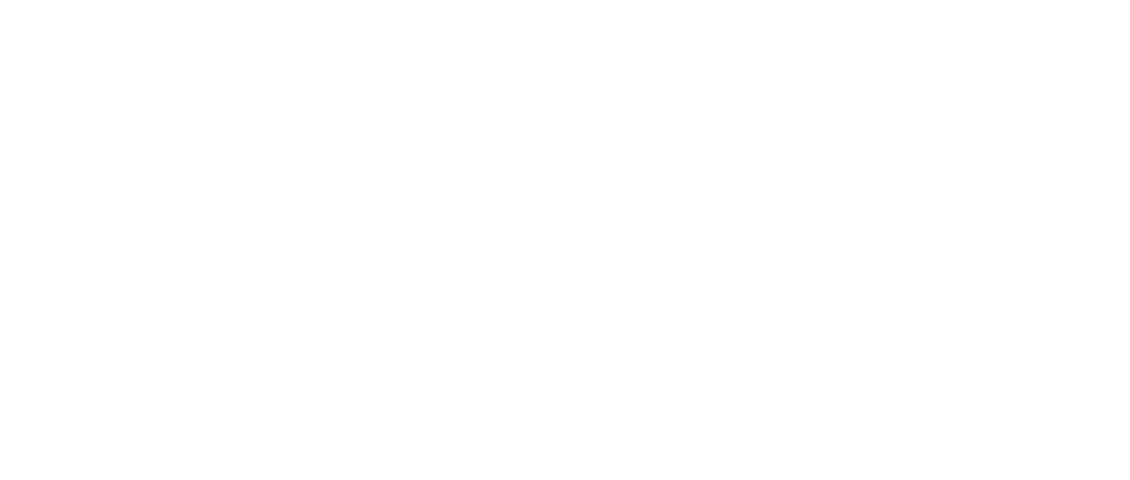 ERA Express erp logo
