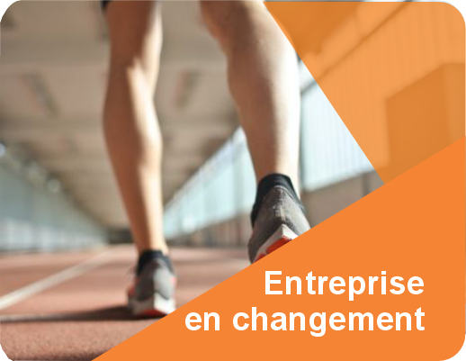 ERP implantation experts Era changement entreprise article publication