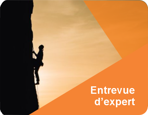 ERP implantation experts défi sommets MS D365 Era article